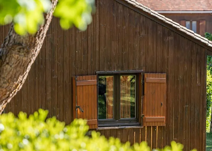 Hameau Des Laurieres Σπίτι διακοπών Saint-Avit-Sénieur